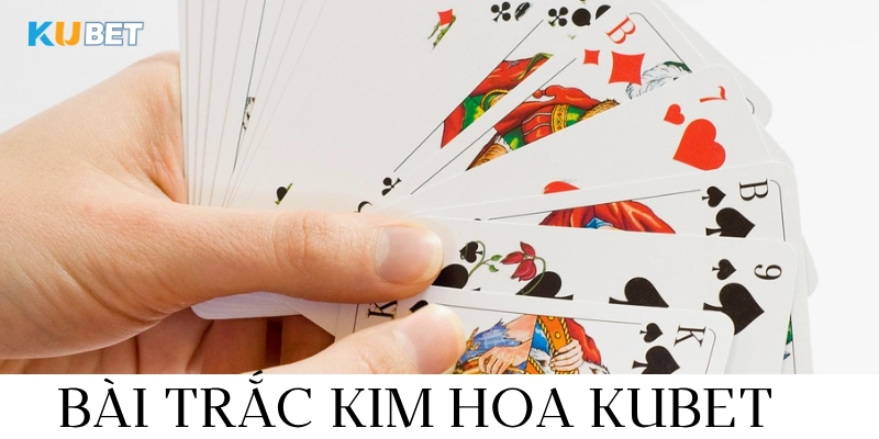 bài trắc kim hoa kubet