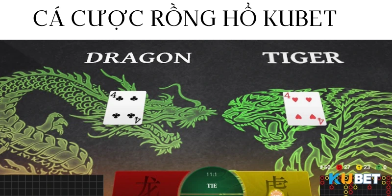 cá cược rồng hổ kubet hấp dẫn người chơi