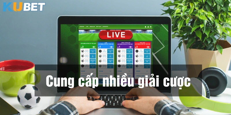 Mở cược nhiều giải đấu lớn nhỏ