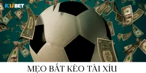 mẹo bắt kèo tài xỉu