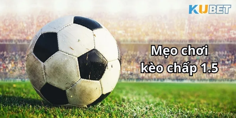 mẹo cá độ kèo chấp 1.5