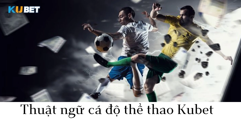 thuật ngữ cá độ thể thao kubet