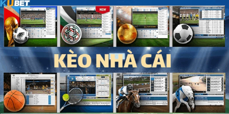 tỷ lệ kèo nhà cái kubet